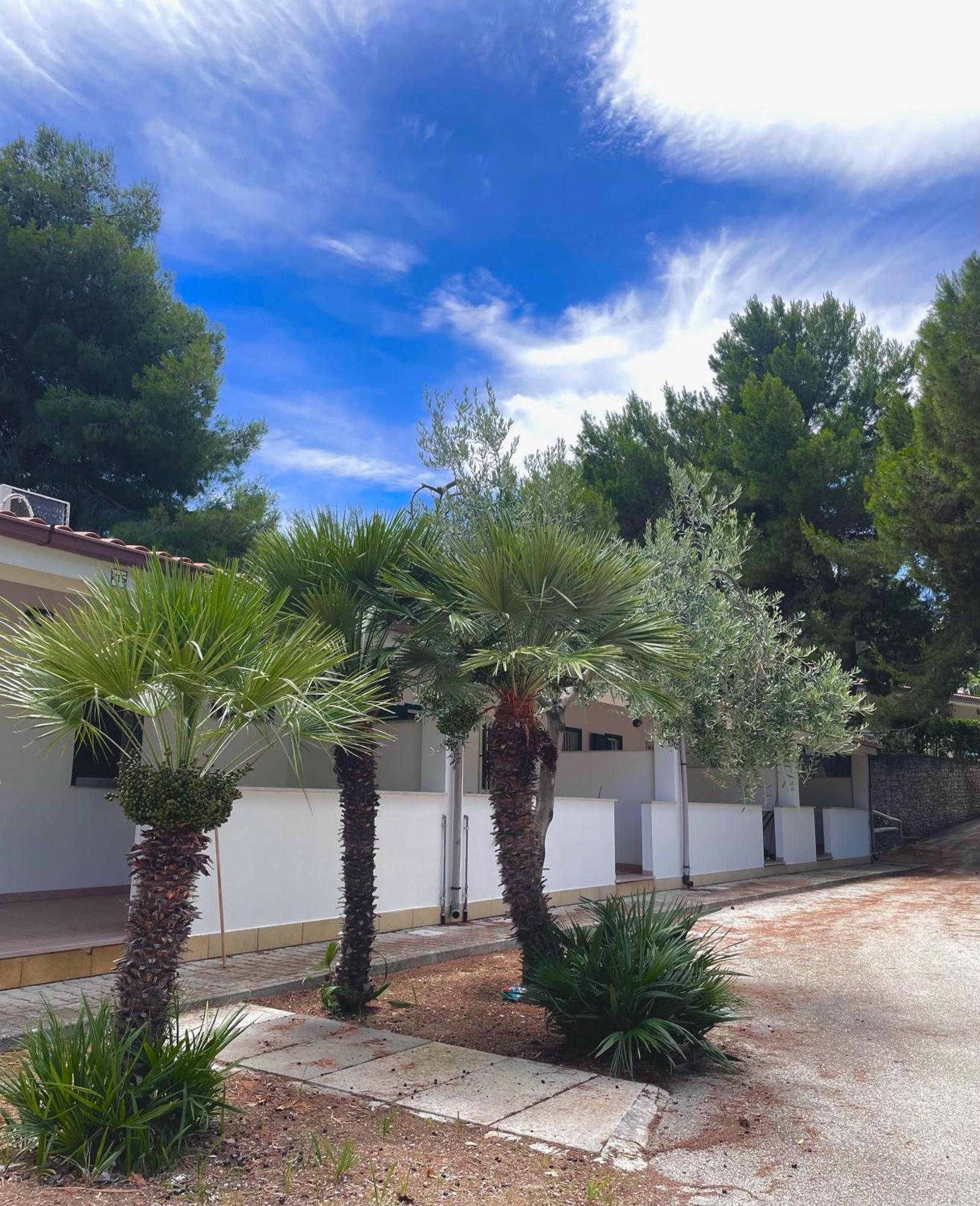 Villaggio La Giara Vieste Extérieur photo
